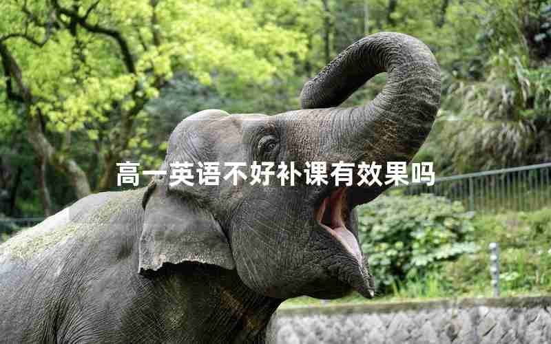 高一英语不好补课有效果吗