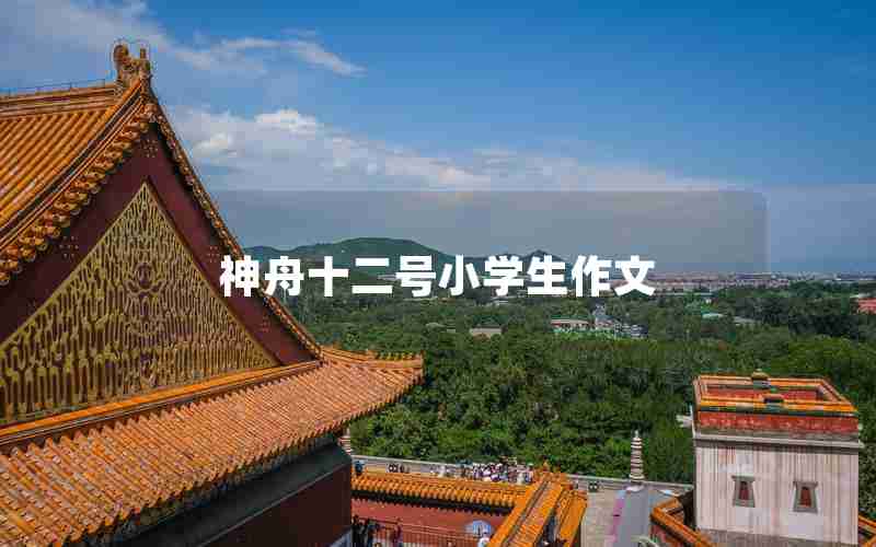 神舟十二号小学生作文