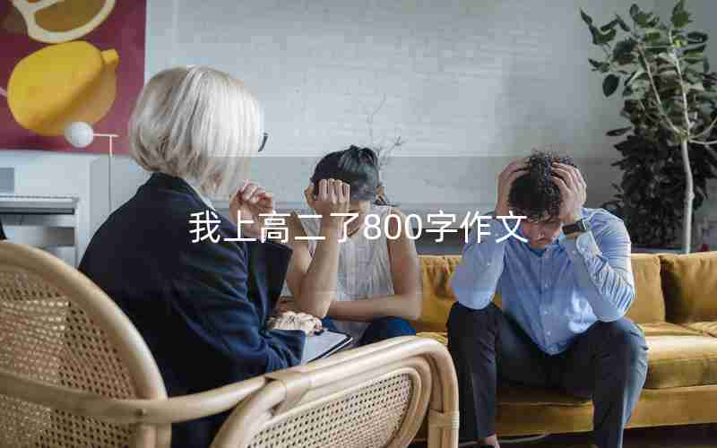 我上高二了800字作文