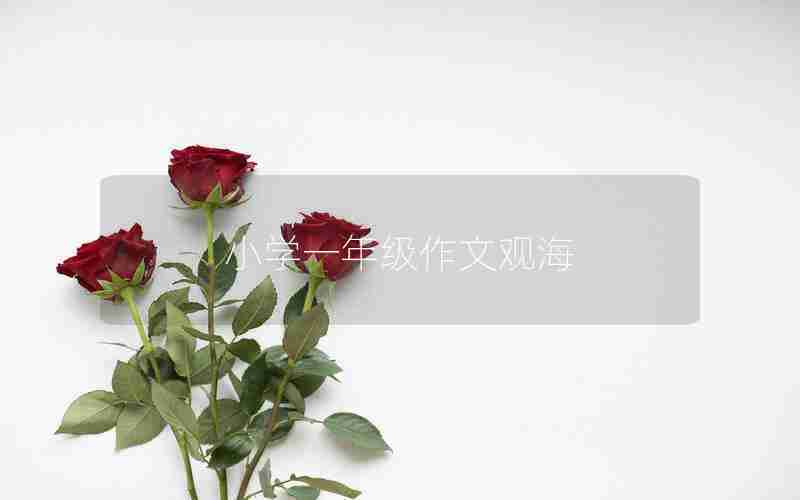 小学一年级作文观海