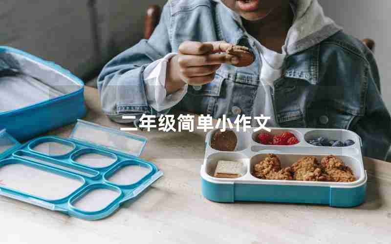 二年级简单小作文