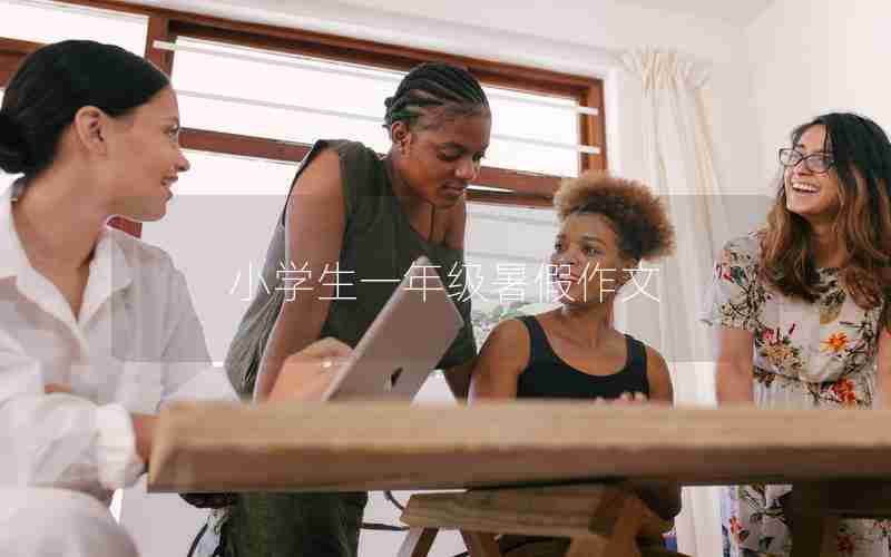 小学生一年级暑假作文