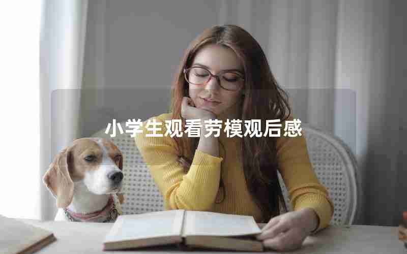 小学生观看劳模观后感