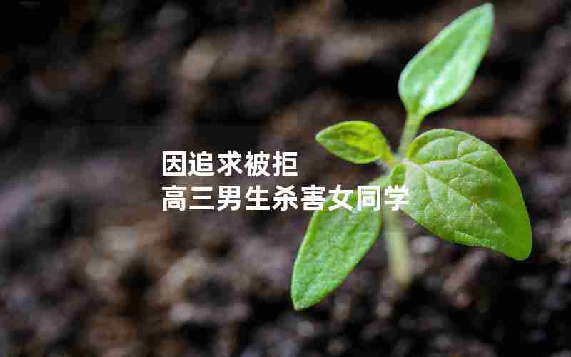 因追求被拒 高三男生杀害女同学