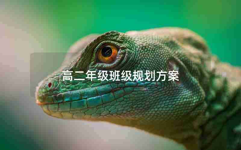 高二年级班级规划方案