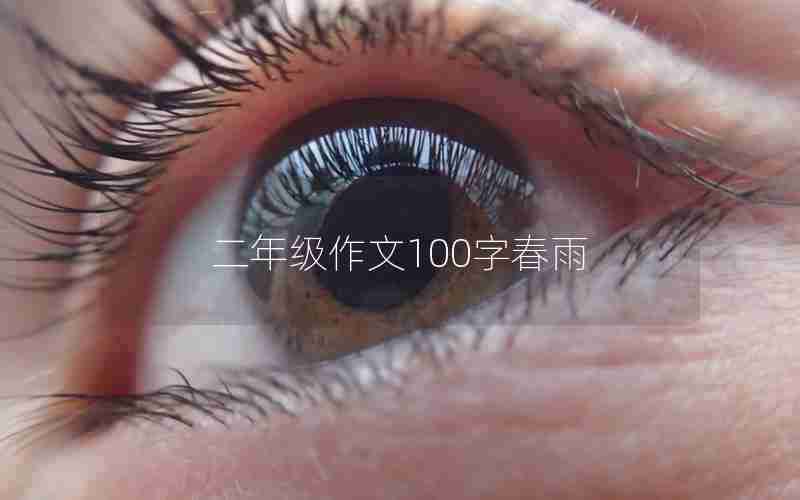 二年级作文100字春雨