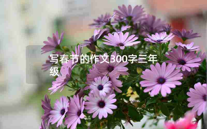 写春节的作文300字三年级