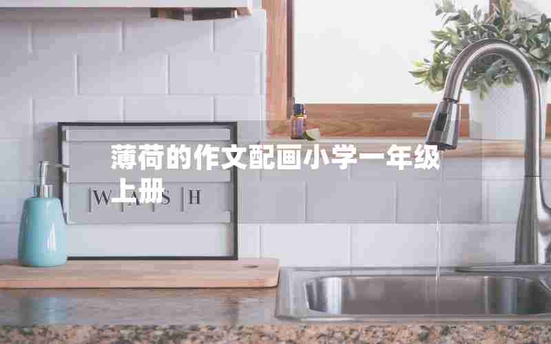 薄荷的作文配画小学一年级上册