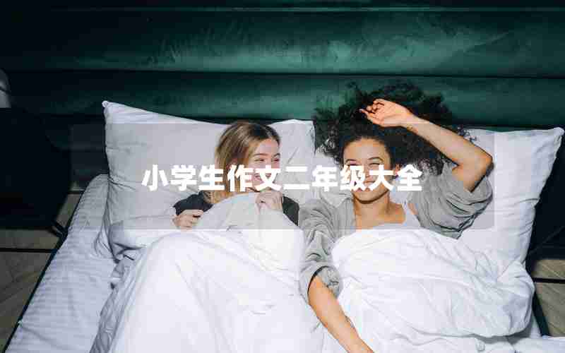 小学生作文二年级大全