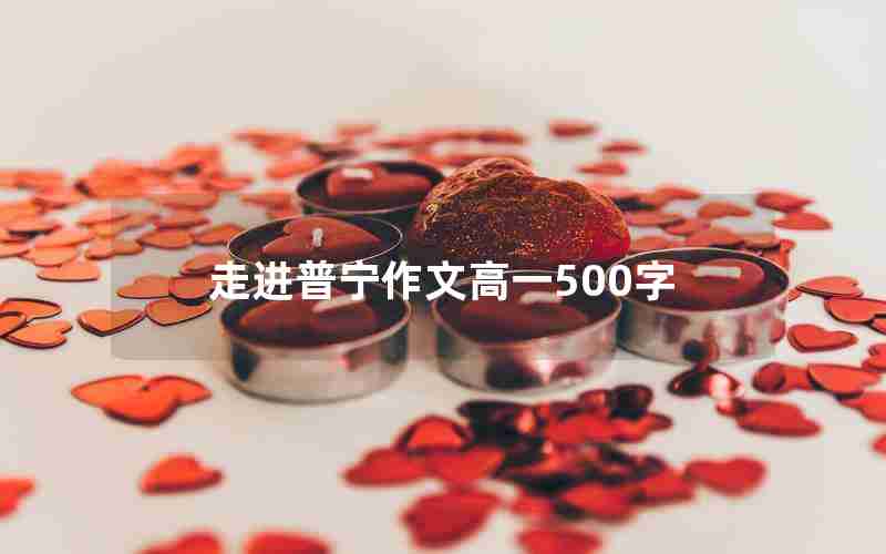 走进普宁作文高一500字