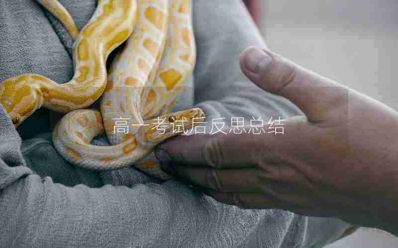 高一考试后反思总结