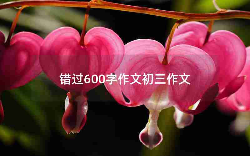 错过600字作文初三作文