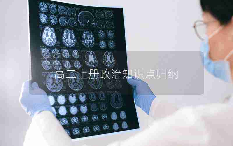 高二上册政治知识点归纳