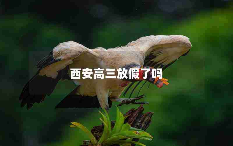 西安高三放假了吗