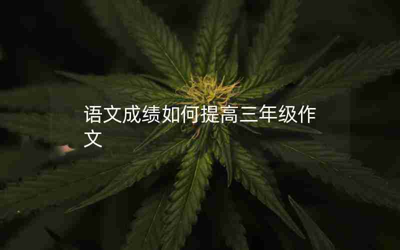 语文成绩如何提高三年级作文