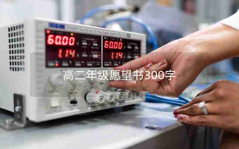 高二年级愿望书300字