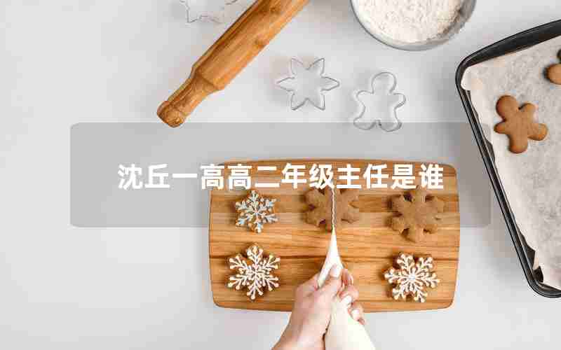 沈丘一高高二年级主任是谁