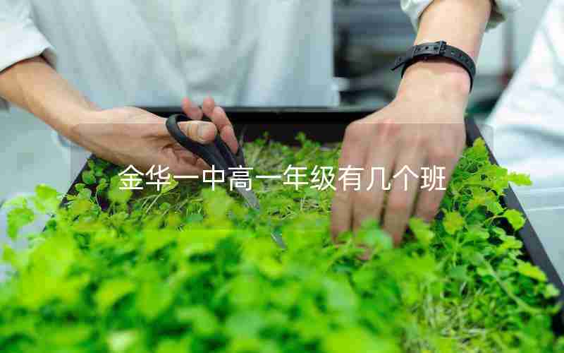 金华一中高一年级有几个班