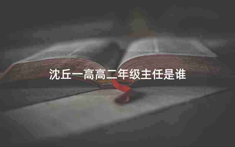 沈丘一高高二年级主任是谁
