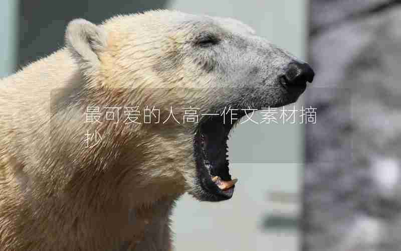 最可爱的人高一作文素材摘抄
