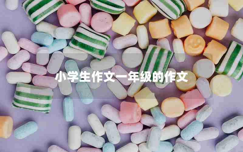 小学生作文一年级的作文