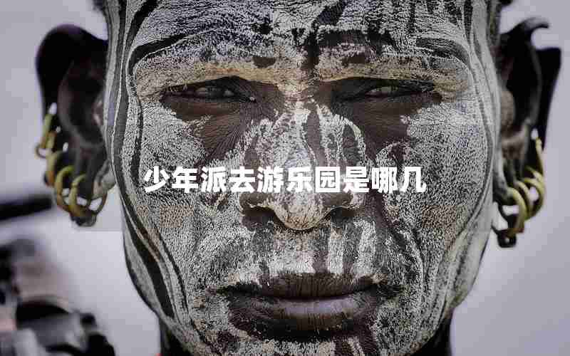 少年派去游乐园是哪几