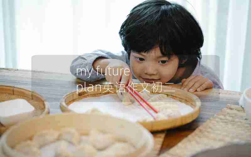 my future plan英语作文初二