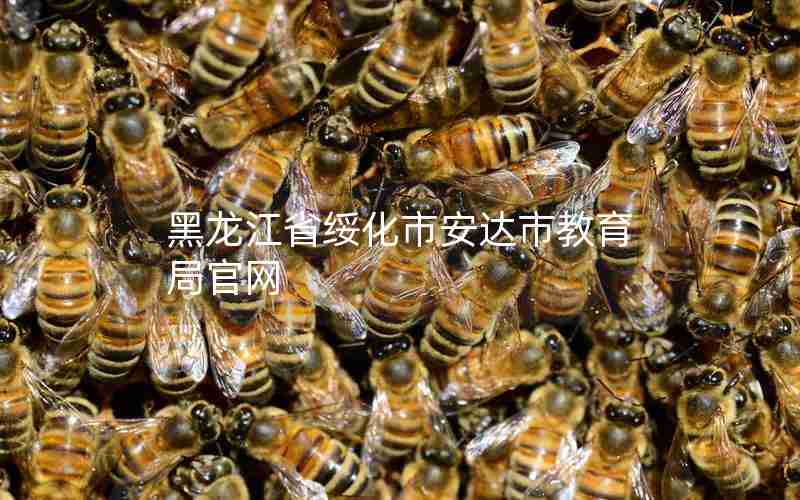 黑龙江省绥化市安达市教育局官网