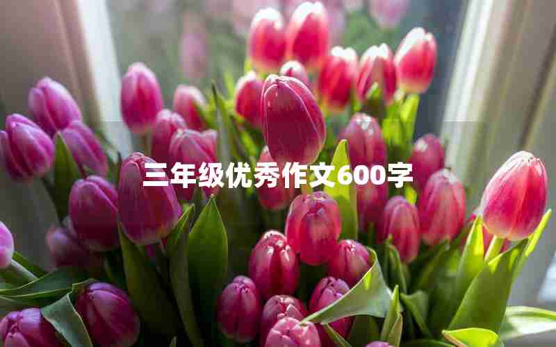 三年级优秀作文600字