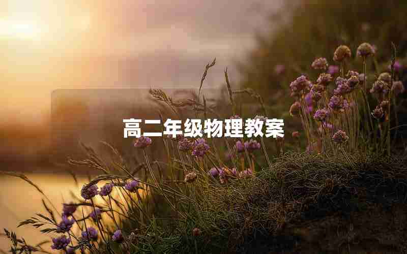 高二年级物理教案
