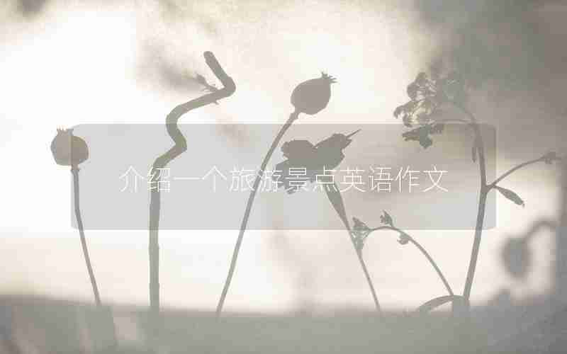 介绍一个旅游景点英语作文