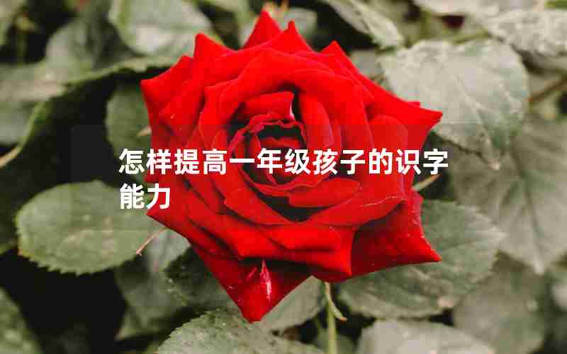 怎样提高一年级孩子的识字能力