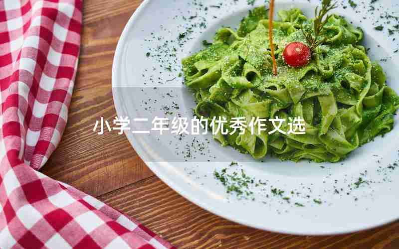 小学二年级的优秀作文选
