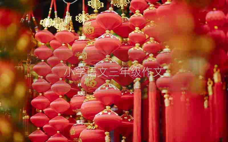 小学语文三年级作文