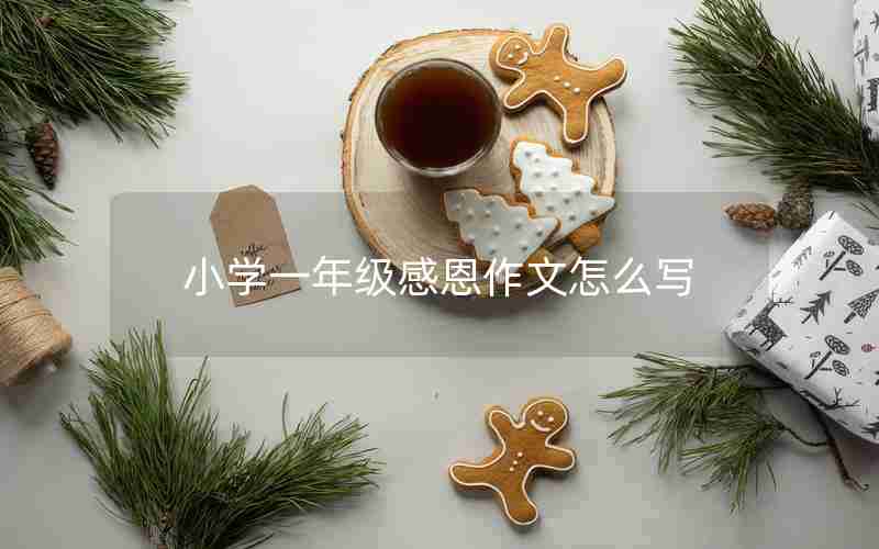 小学一年级感恩作文怎么写