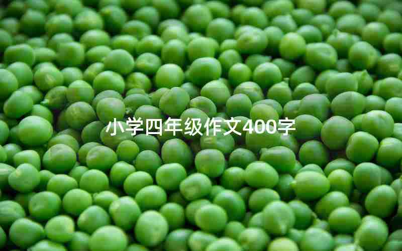小学四年级作文400字