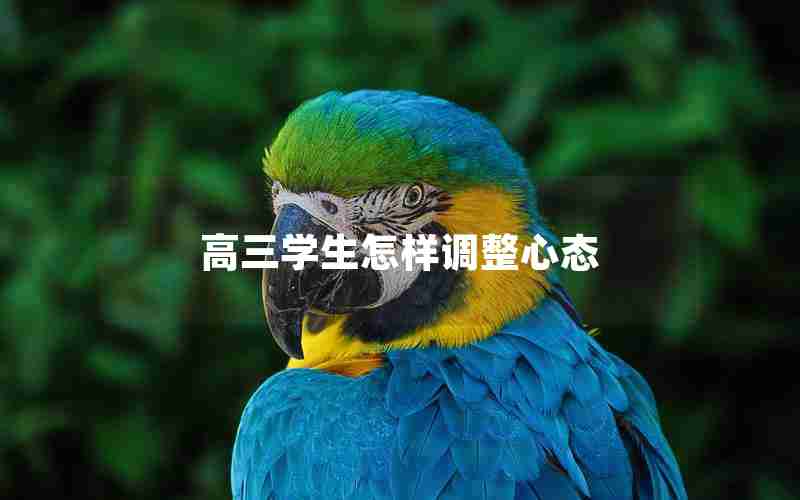高三学生怎样调整心态