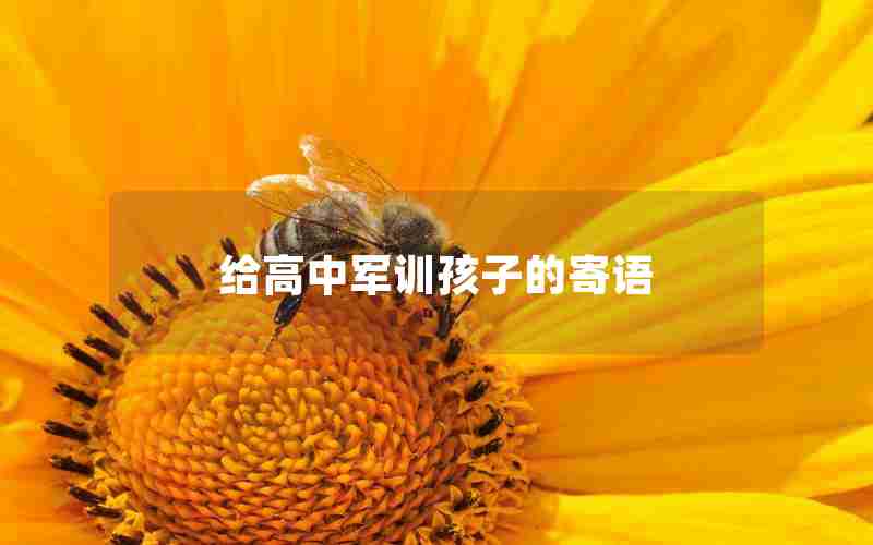 给高中军训孩子的寄语