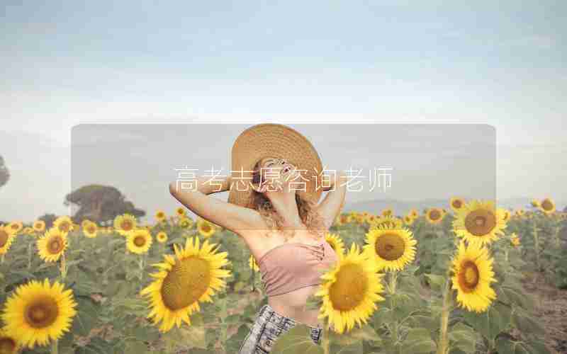 高考志愿咨询老师
