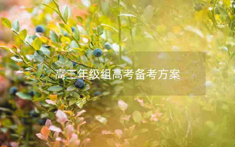 高三年级组高考备考方案