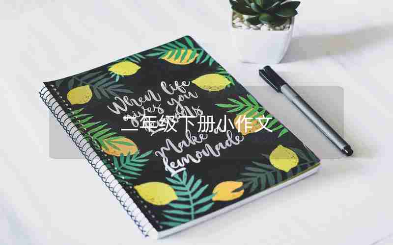 二年级下册小作文