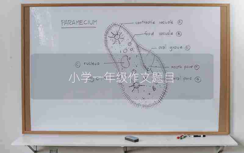 小学一年级作文题目