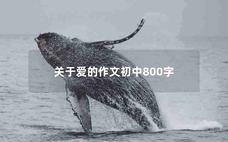 关于爱的作文初中800字