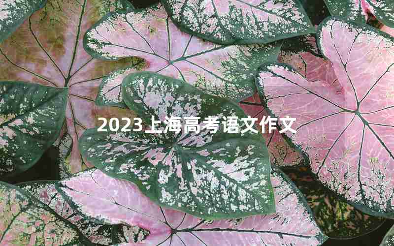 2023上海高考语文作文