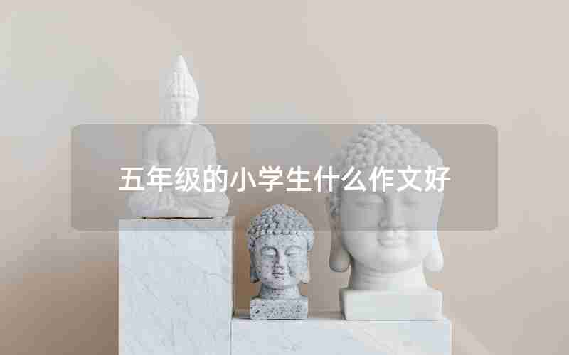 五年级的小学生什么作文好