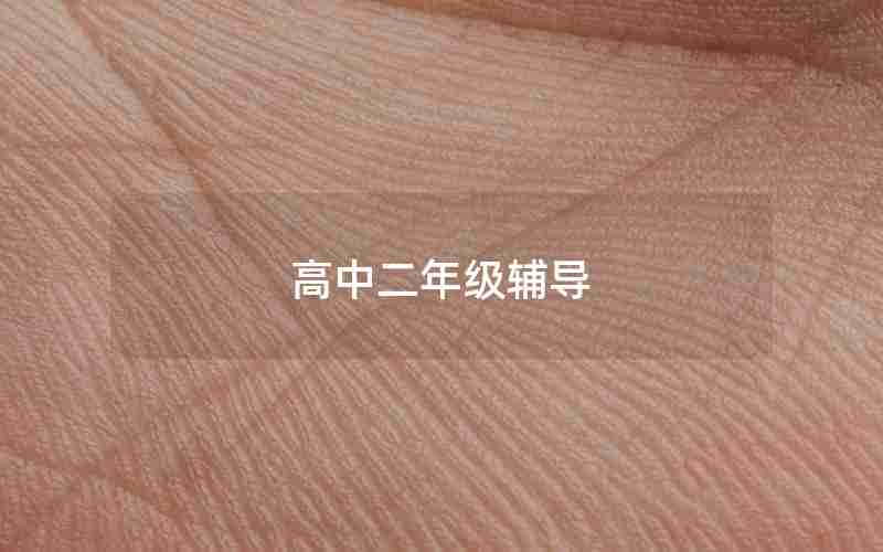 高中二年级辅导