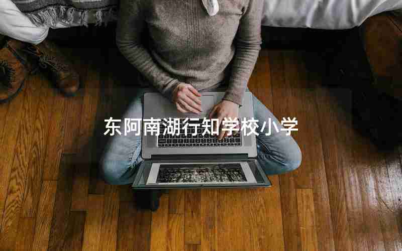 东阿南湖行知学校小学