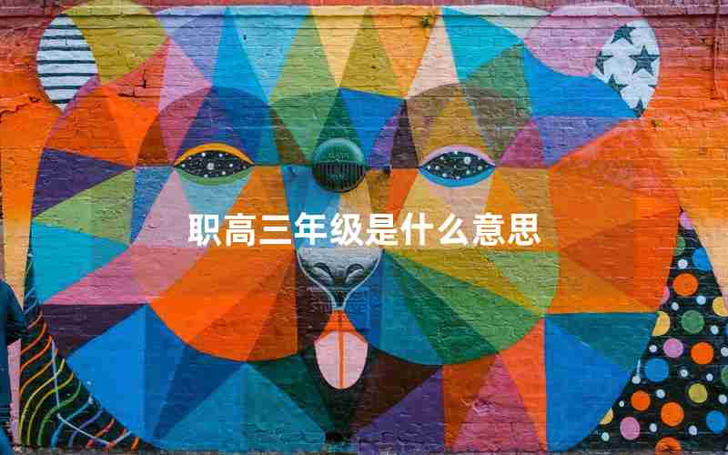 职高三年级是什么意思