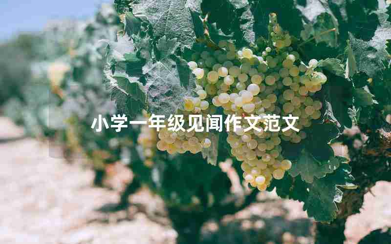 小学一年级见闻作文范文
