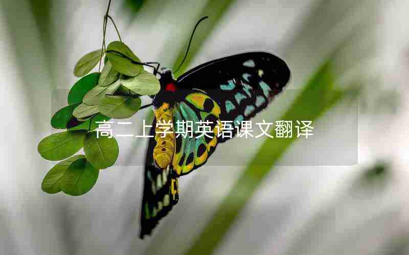 高二上学期英语课文翻译
